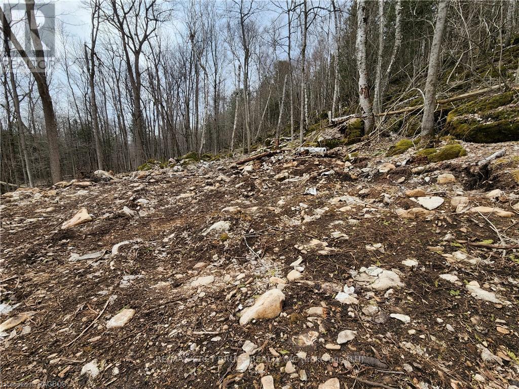 132b Georgian Drive, Northern Bruce Peninsula, Ontario  N0H 1W0 - Photo 7 - X10845926