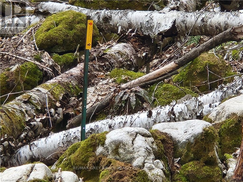 132b Georgian Drive, Northern Bruce Peninsula, Ontario  N0H 1W0 - Photo 8 - X10845926