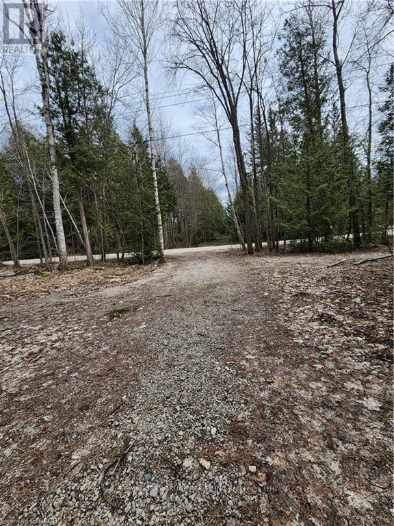 132b Georgian Drive, Northern Bruce Peninsula, Ontario  N0H 1W0 - Photo 9 - X10845926