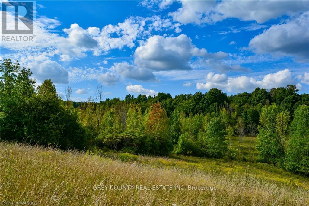 Na 3rd Line C, Grey Highlands, Ontario  N0H 1N0 - Photo 24 - X10846232