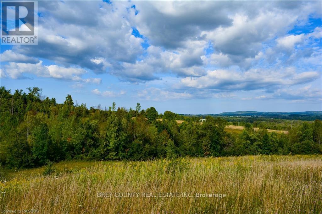 Na 3rd Line C, Grey Highlands, Ontario  N0H 1N0 - Photo 27 - X10846232