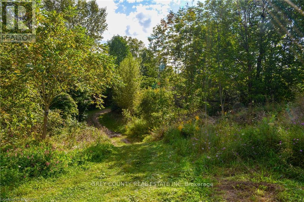 Na 3rd Line C, Grey Highlands, Ontario  N0H 1N0 - Photo 31 - X10846232