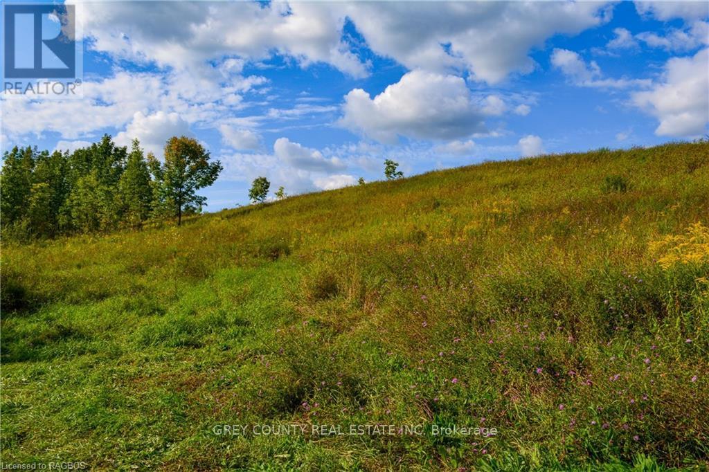 Na 3rd Line C, Grey Highlands, Ontario  N0H 1N0 - Photo 32 - X10846232
