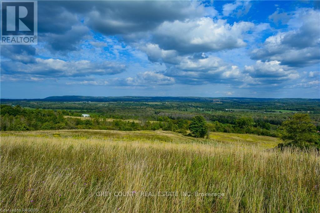 Na 3rd Line C, Grey Highlands, Ontario  N0H 1N0 - Photo 4 - X10846232