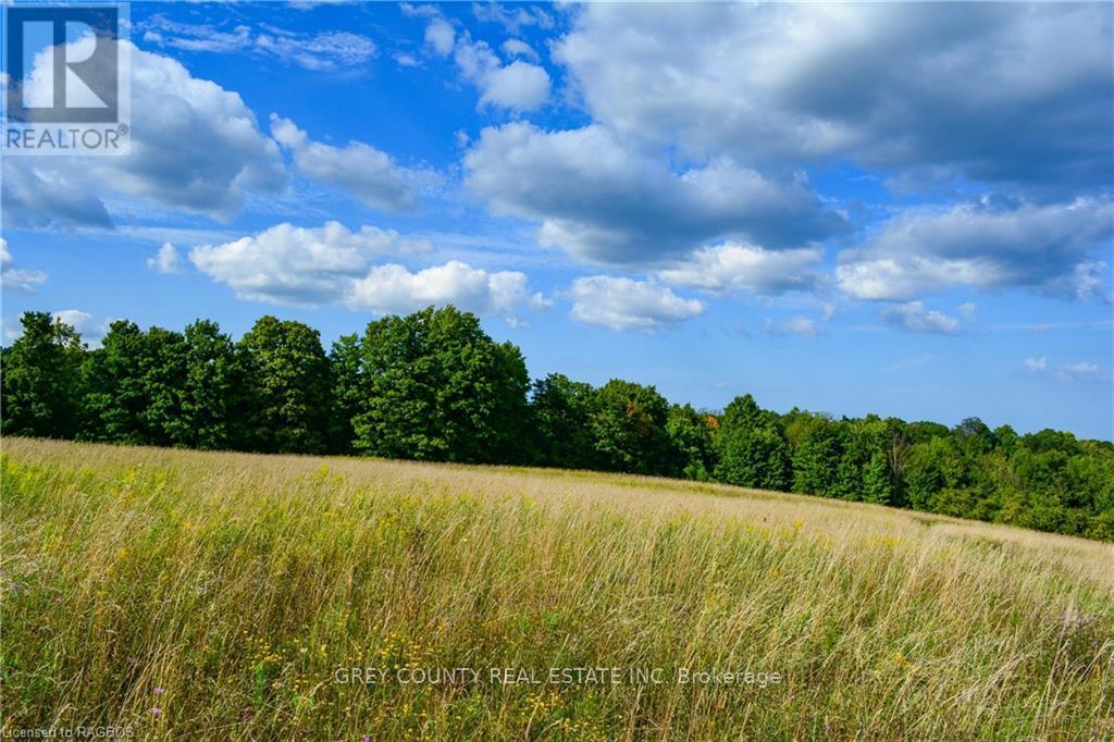 Na 3rd Line C, Grey Highlands, Ontario  N0H 1N0 - Photo 6 - X10846232
