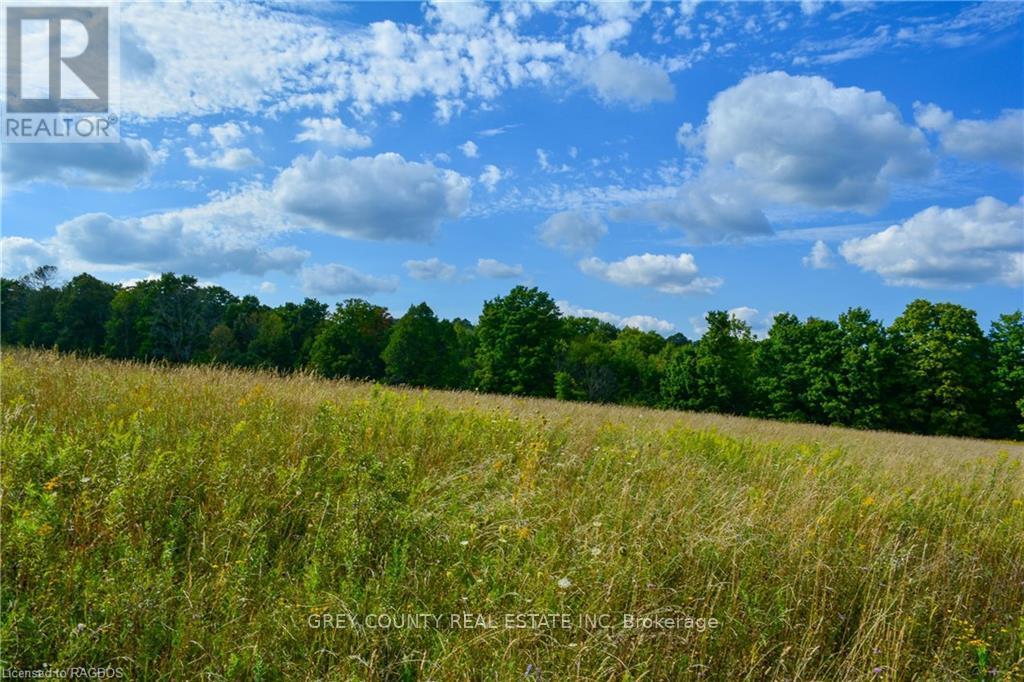 Na 3rd Line C, Grey Highlands, Ontario  N0H 1N0 - Photo 7 - X10846232