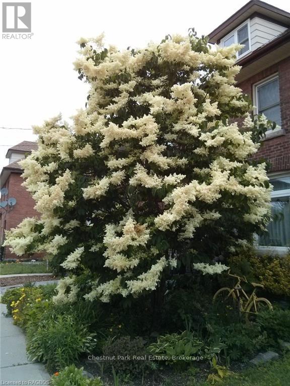 585 2nd Avenue E, Owen Sound, Ontario  N4K 2G5 - Photo 29 - X10845980