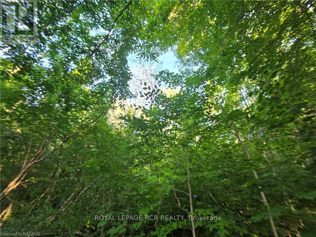 126 Old Highway 26, Meaford, Ontario  N4L 1W7 - Photo 10 - X10846251