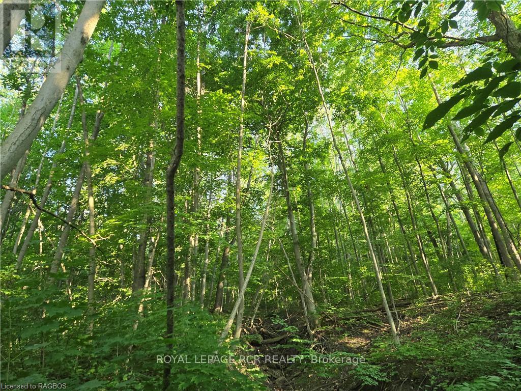 126 Old Highway 26, Meaford, Ontario  N4L 1W7 - Photo 4 - X10846251