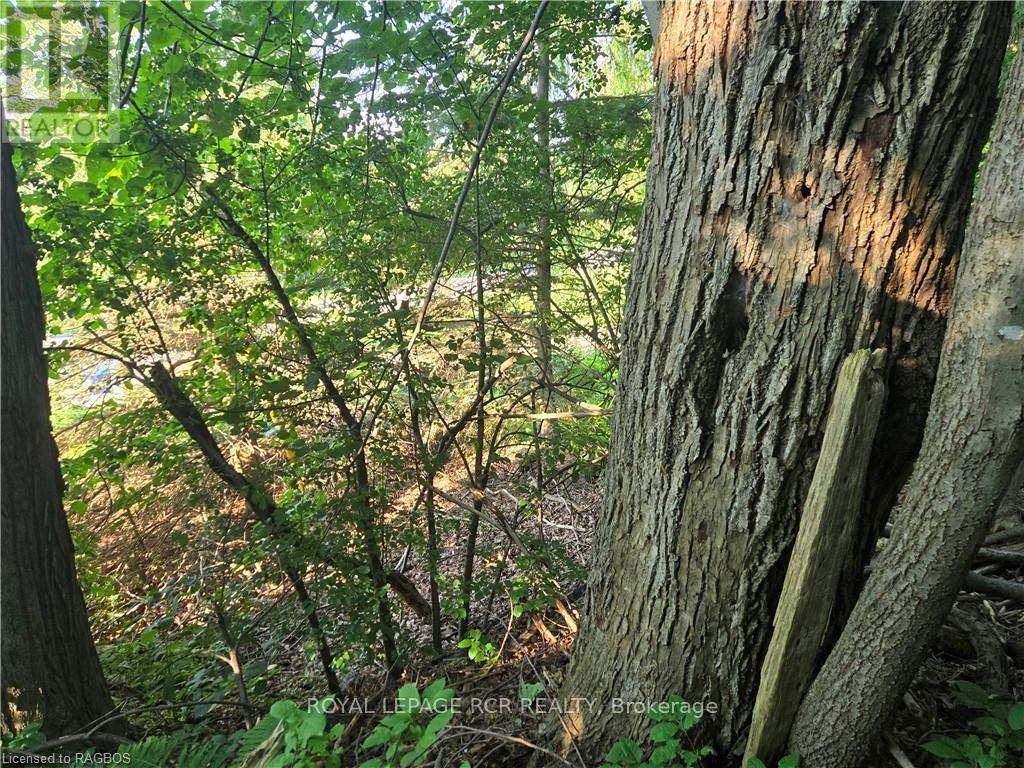 126 Old Highway 26, Meaford, Ontario  N4L 1W7 - Photo 6 - X10846251