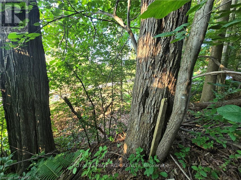 126 Old Highway 26, Meaford, Ontario  N4L 1W7 - Photo 7 - X10846251