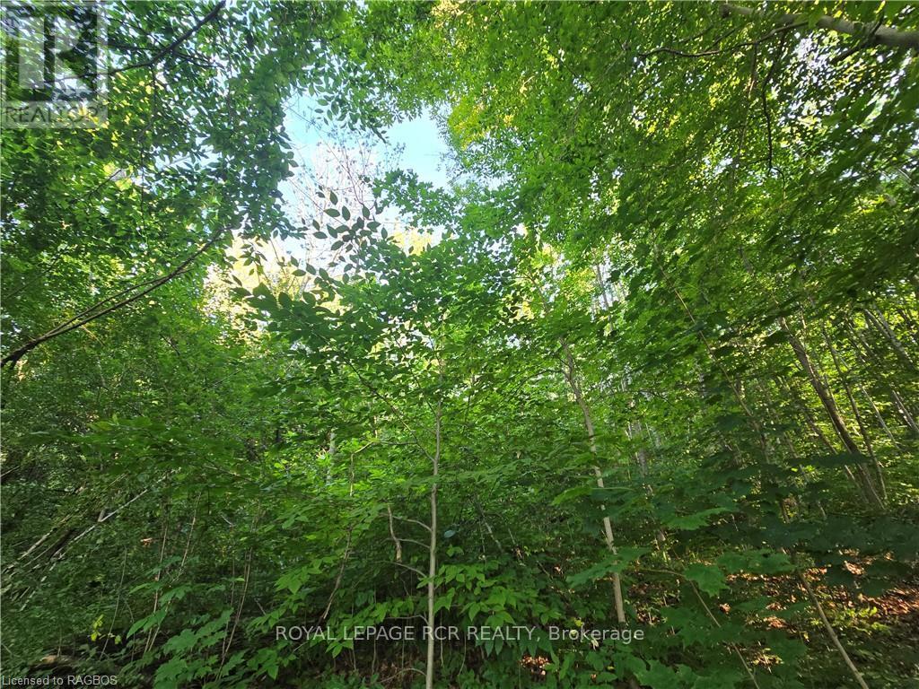 126 Old Highway 26, Meaford, Ontario  N4L 1W7 - Photo 9 - X10846251