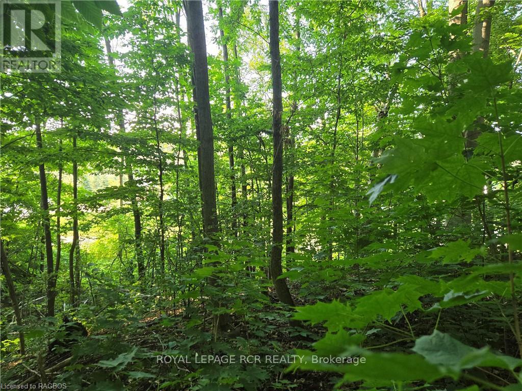 130 Old Highway 26, Meaford, Ontario  N4L 1W7 - Photo 11 - X10846297