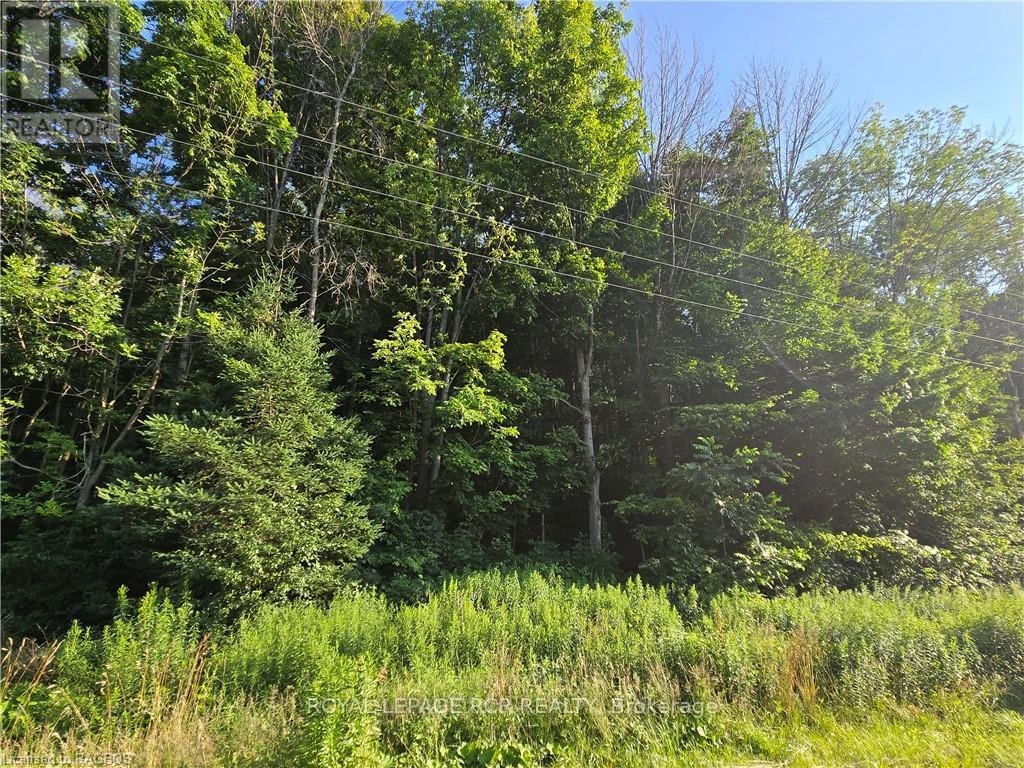 130 Old Highway 26, Meaford, Ontario  N4L 1W7 - Photo 2 - X10846297