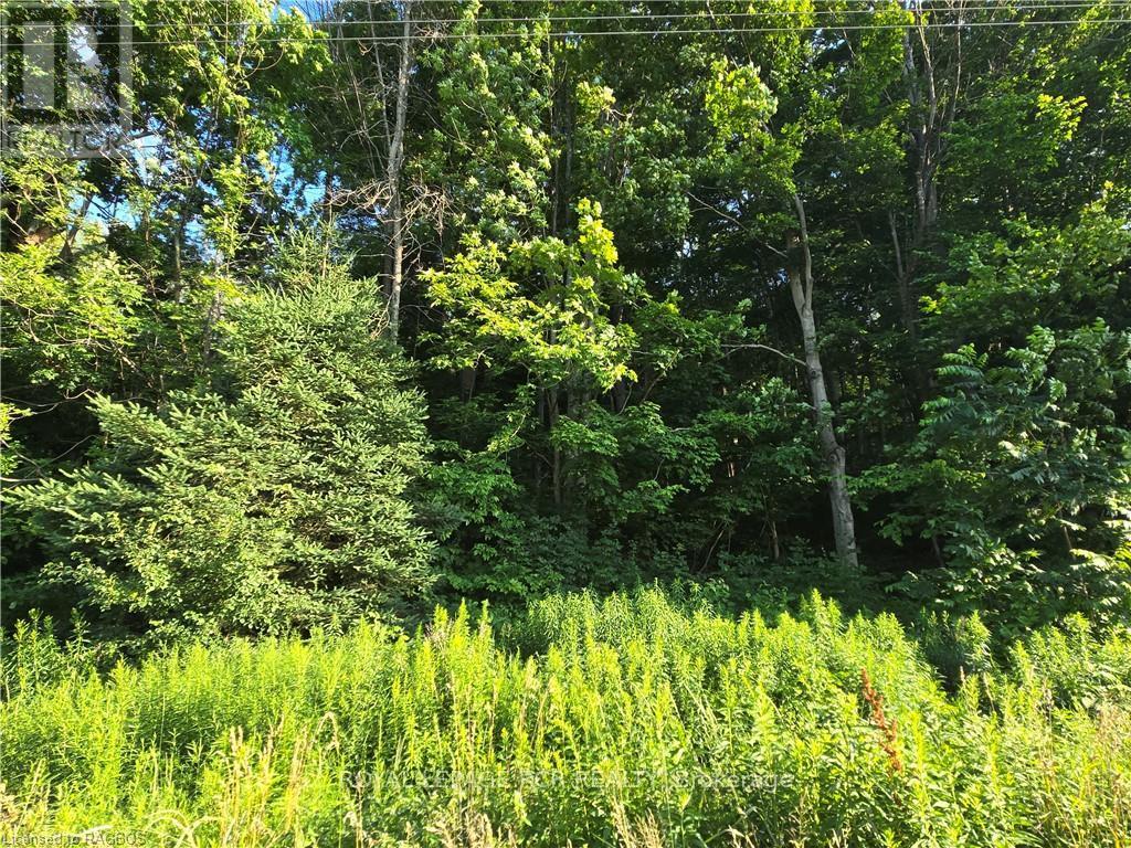 130 Old Highway 26, Meaford, Ontario  N4L 1W7 - Photo 24 - X10846297