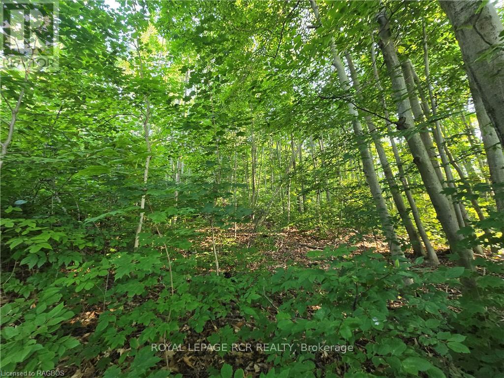 130 Old Highway 26, Meaford, Ontario  N4L 1W7 - Photo 6 - X10846297