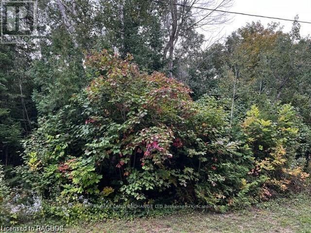 5 SHORE ROAD, saugeen shores, Ontario