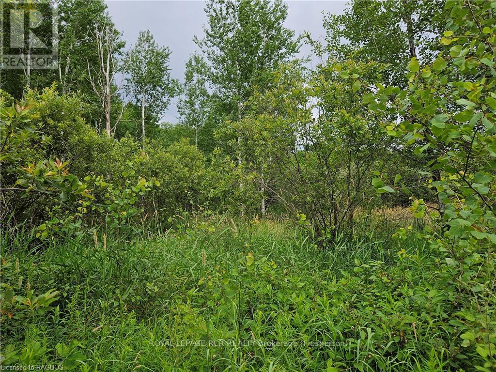 Ptl17 Southgate Road 13, Southgate, Ontario  N0C 1B0 - Photo 10 - X10846538