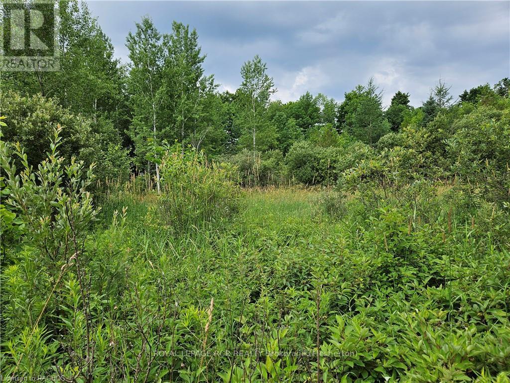 Ptl17 Southgate Road 13, Southgate, Ontario  N0C 1B0 - Photo 11 - X10846538