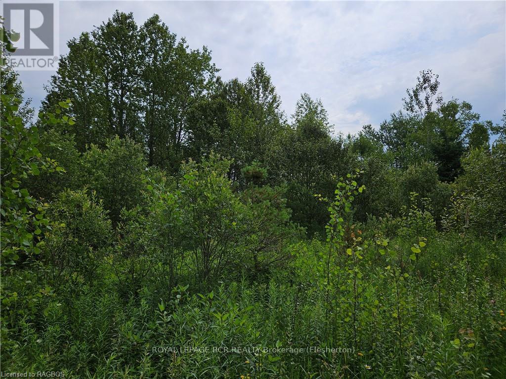 Ptl17 Southgate Road 13, Southgate, Ontario  N0C 1B0 - Photo 13 - X10846538
