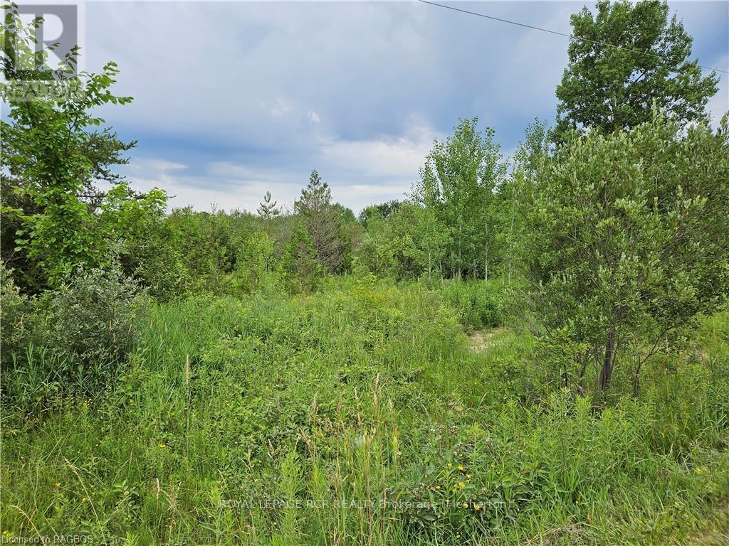 Ptl17 Southgate Road 13, Southgate, Ontario  N0C 1B0 - Photo 3 - X10846538