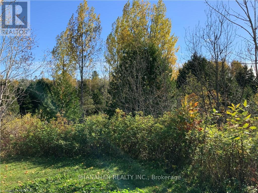 20 Cape Hurd Road S, Northern Bruce Peninsula, Ontario  N0H 2R0 - Photo 3 - X10846542