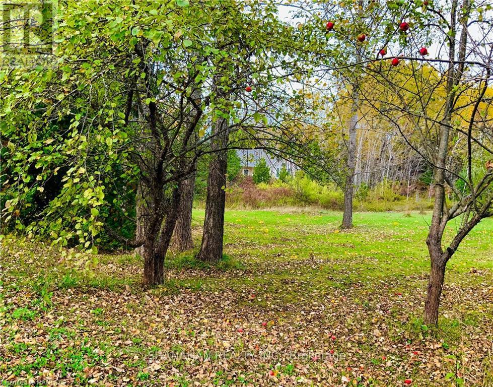 20 Cape Hurd Road S, Northern Bruce Peninsula, Ontario  N0H 2R0 - Photo 8 - X10846542