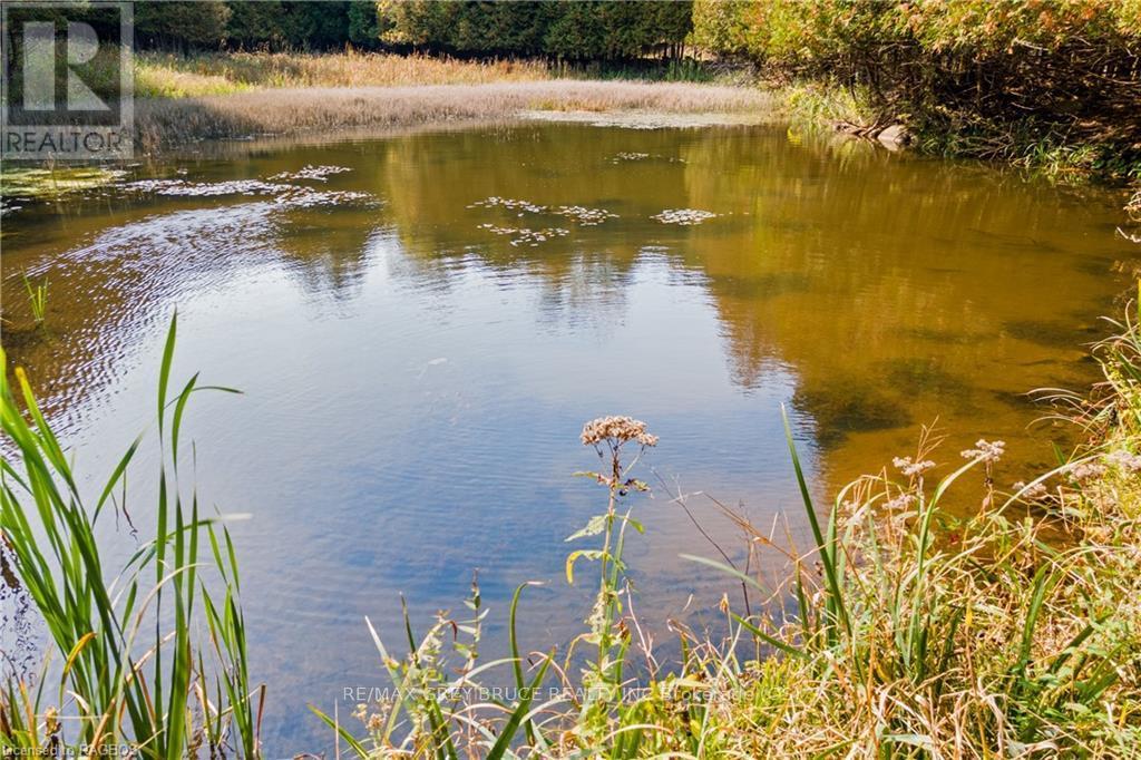 3476 Garden Of Eden Road, Clearview, Ontario  L0M 1G0 - Photo 11 - S11879920