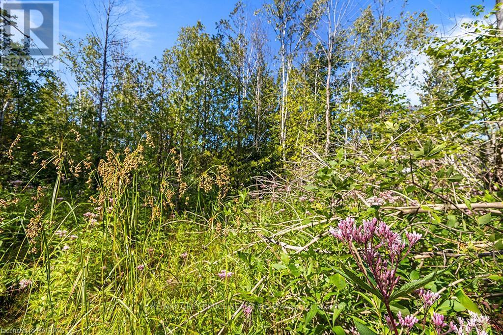 Pt Lt 46 Highway 6, Northern Bruce Peninsula, Ontario  N0H 2R0 - Photo 10 - X10846660