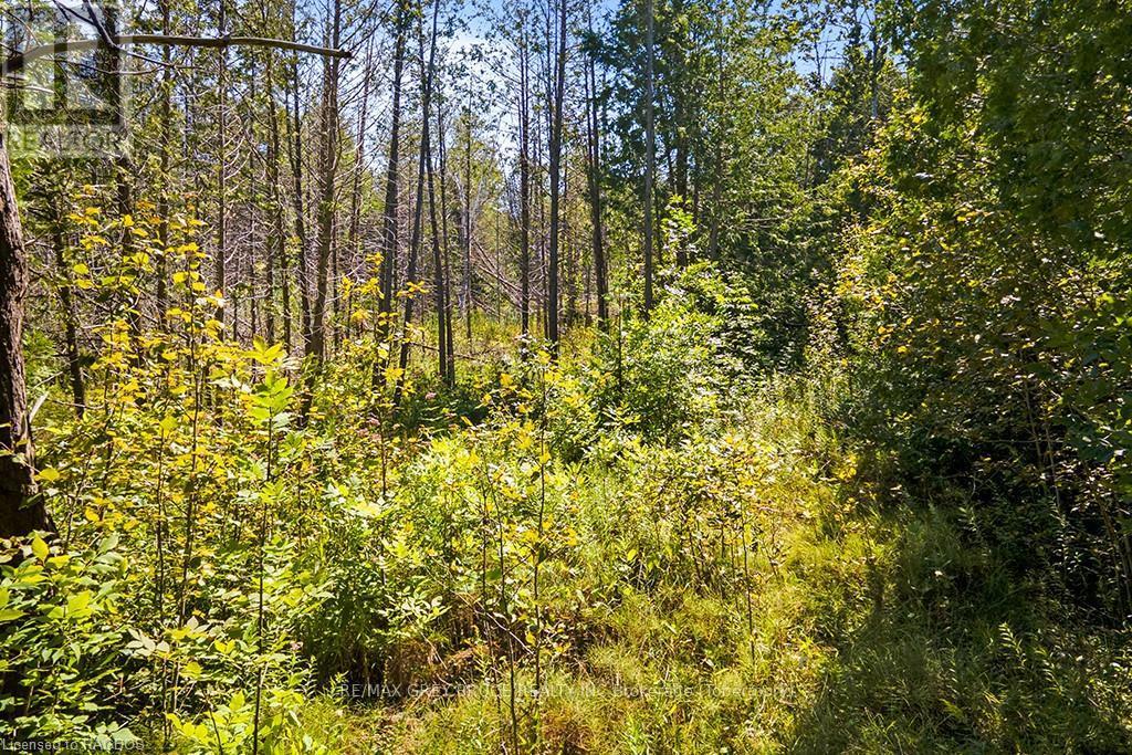 Pt Lt 46 Highway 6, Northern Bruce Peninsula, Ontario  N0H 2R0 - Photo 3 - X10846660