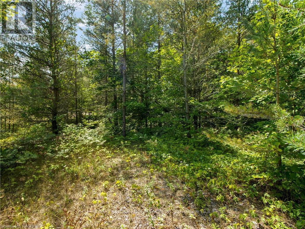 9 Campbell Crescent, South Bruce Peninsula, Ontario  N0H 2G0 - Photo 8 - X10845995