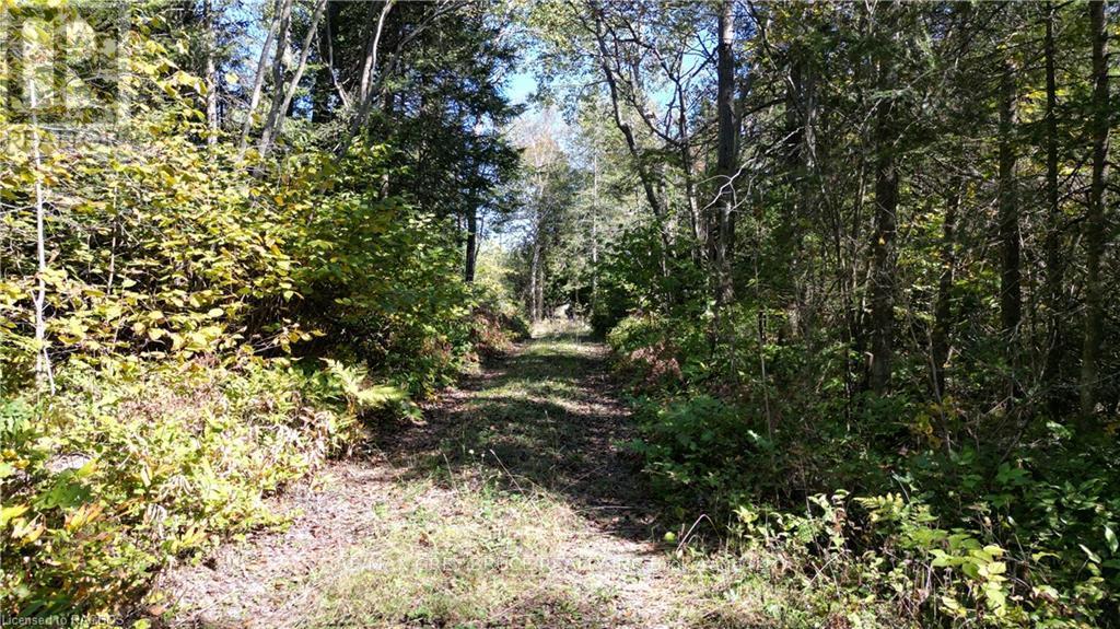 459 Warner Bay Road, Northern Bruce Peninsula, Ontario  N0H 2R0 - Photo 2 - X10846050