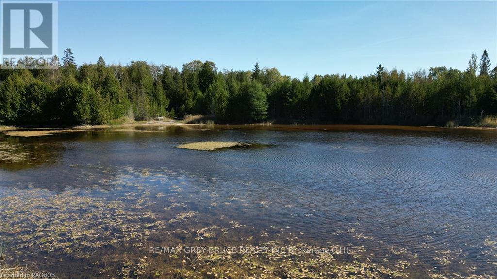 459 Warner Bay Road, Northern Bruce Peninsula, Ontario  N0H 2R0 - Photo 20 - X10846050