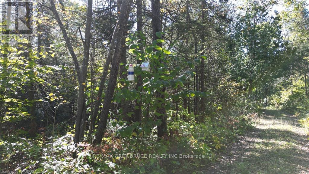 459 Warner Bay Road, Northern Bruce Peninsula, Ontario  N0H 2R0 - Photo 26 - X10846050