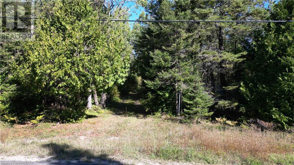 459 Warner Bay Road, Northern Bruce Peninsula, Ontario  N0H 2R0 - Photo 3 - X10846050