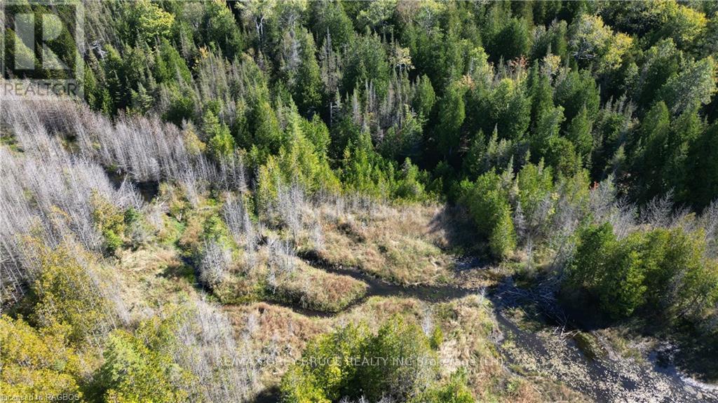 459 Warner Bay Road, Northern Bruce Peninsula, Ontario  N0H 2R0 - Photo 36 - X10846050