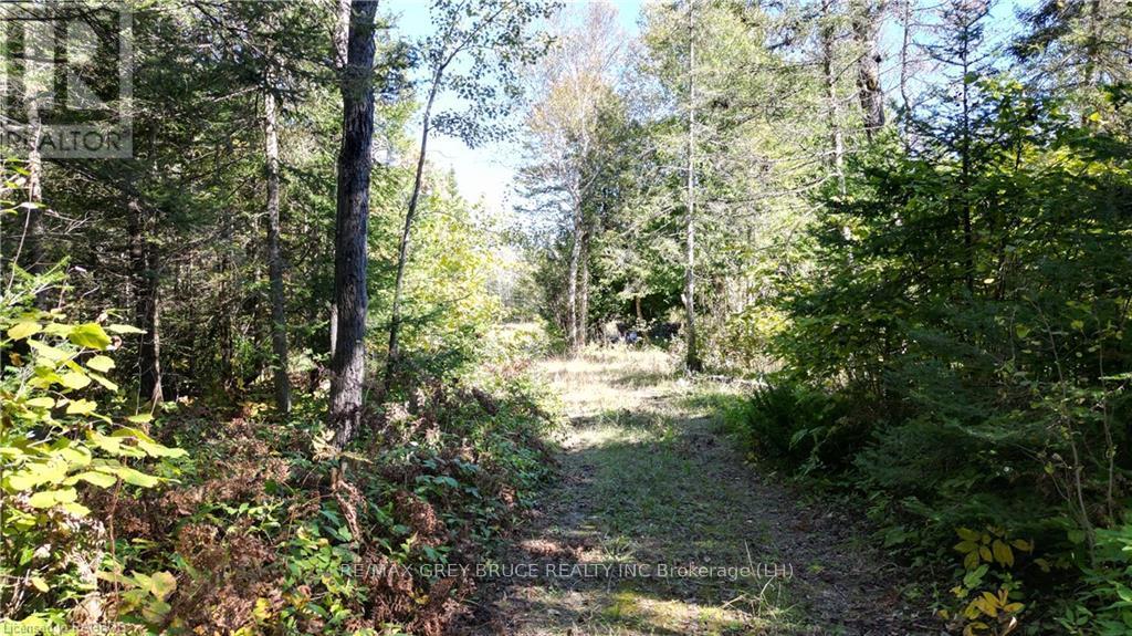 459 Warner Bay Road, Northern Bruce Peninsula, Ontario  N0H 2R0 - Photo 4 - X10846050