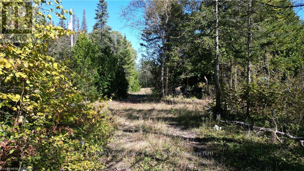 459 Warner Bay Road, Northern Bruce Peninsula, Ontario  N0H 2R0 - Photo 5 - X10846050
