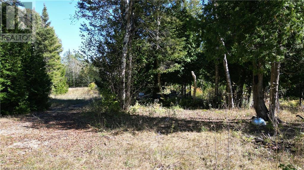 459 Warner Bay Road, Northern Bruce Peninsula, Ontario  N0H 2R0 - Photo 6 - X10846050