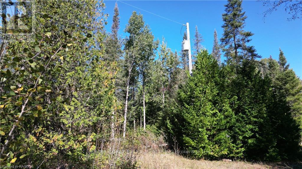 459 Warner Bay Road, Northern Bruce Peninsula, Ontario  N0H 2R0 - Photo 7 - X10846050