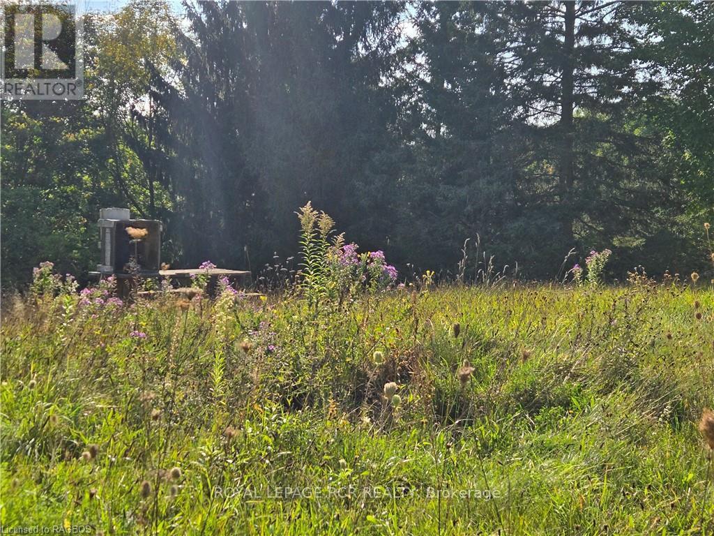 112 Elder Lane, Chatsworth, Ontario  N0H 1G0 - Photo 8 - X10846368