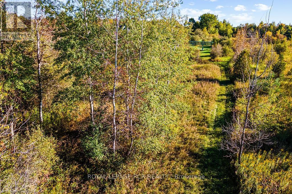 Pt Lot 17 Southgate Road 12, Southgate, Ontario  N0G 2A0 - Photo 14 - X10846395