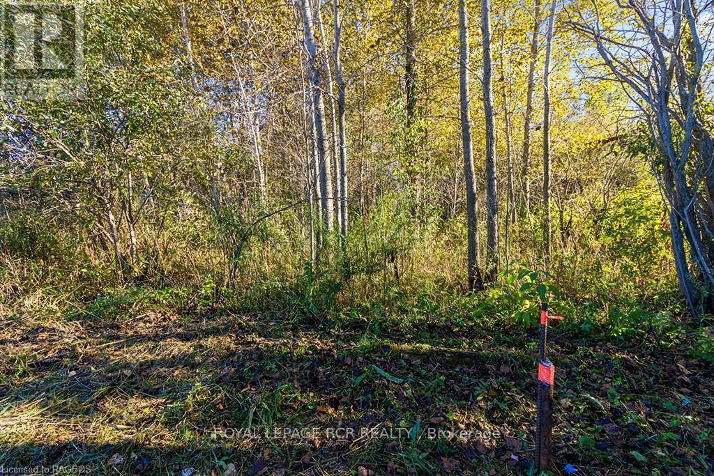 Pt Lot 17 Southgate Road 12, Southgate, Ontario  N0G 2A0 - Photo 6 - X10846395