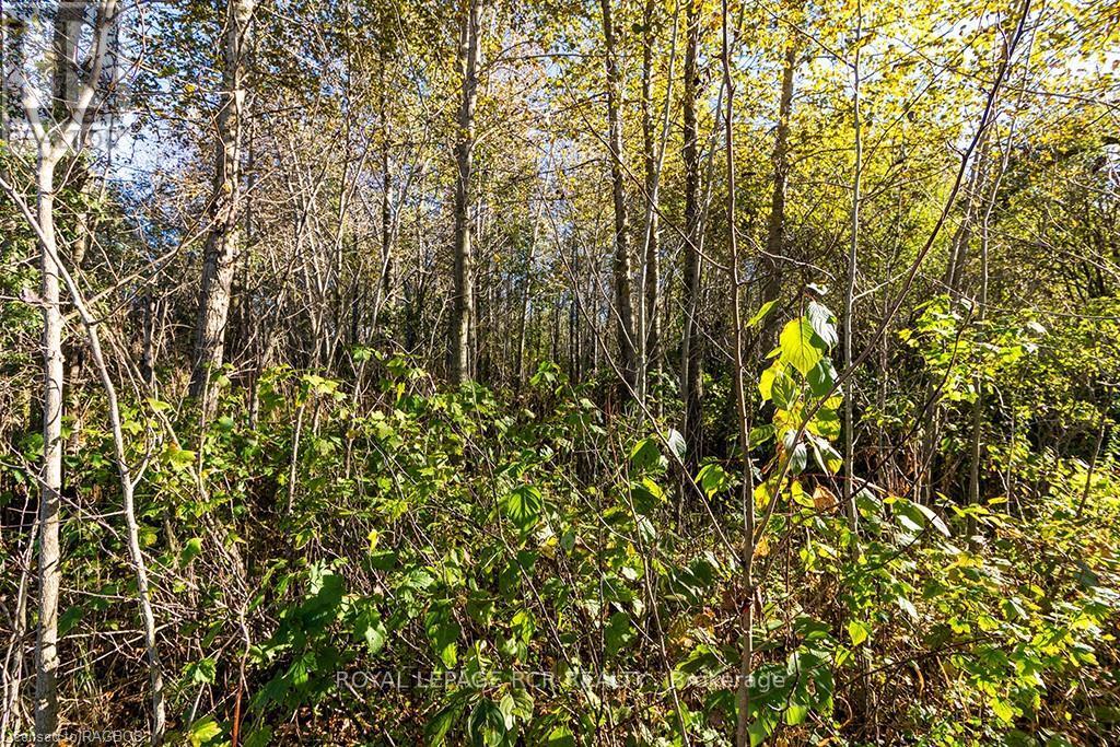 Pt Lot 17 Southgate Road 12, Southgate, Ontario  N0G 2A0 - Photo 9 - X10846395