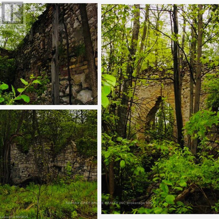 Lt 41,75,40 Portland Street, Georgian Bluffs, Ontario  N0H 2K0 - Photo 17 - X10846773