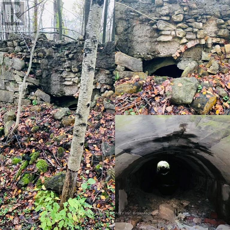 Lt 41,75,40 Portland Street, Georgian Bluffs, Ontario  N0H 2K0 - Photo 18 - X10846773