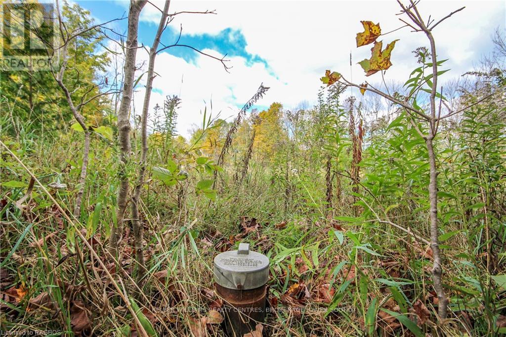 Lt 1-2 Cameron Road, Northern Bruce Peninsula, Ontario  N0H 2T0 - Photo 13 - X10846811