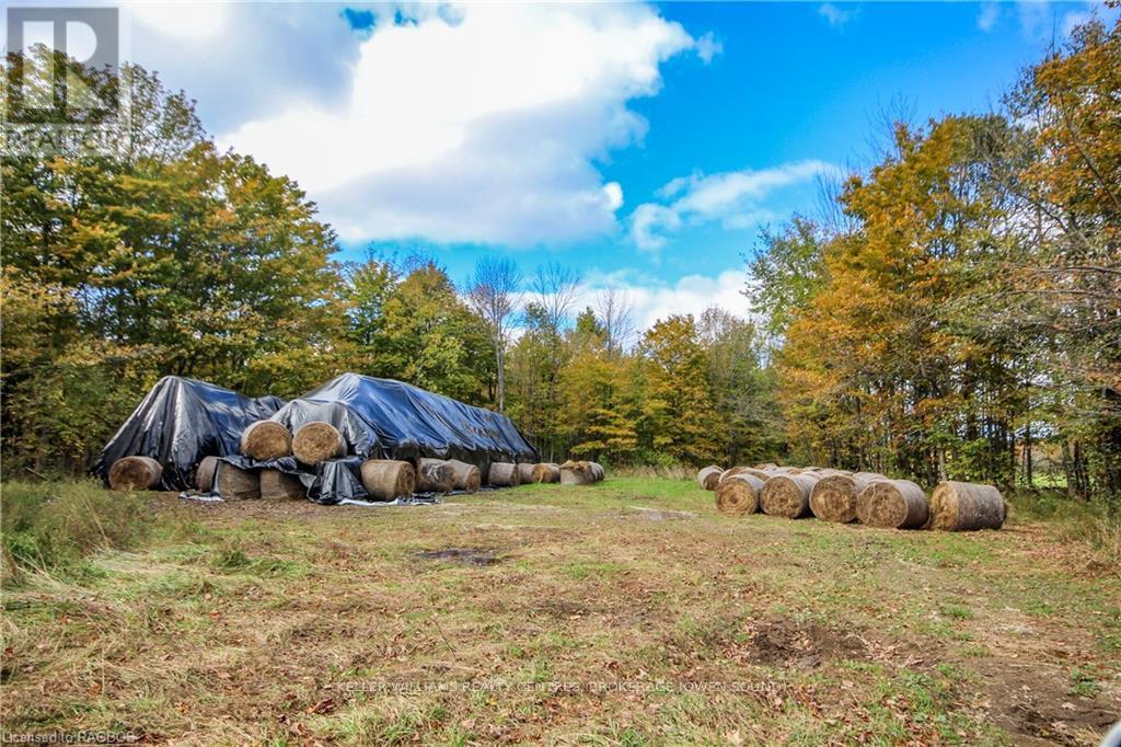 Lt 1-2 Cameron Road, Northern Bruce Peninsula, Ontario  N0H 2T0 - Photo 14 - X10846811