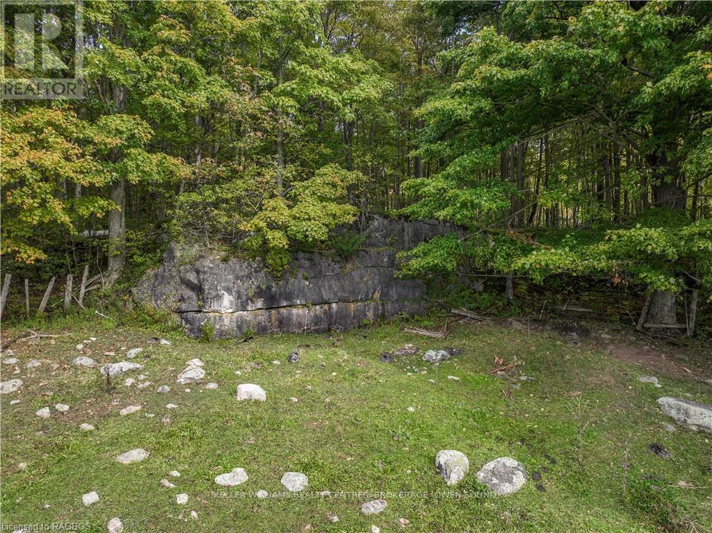 Lt 1-2 Cameron Road, Northern Bruce Peninsula, Ontario  N0H 2T0 - Photo 18 - X10846811
