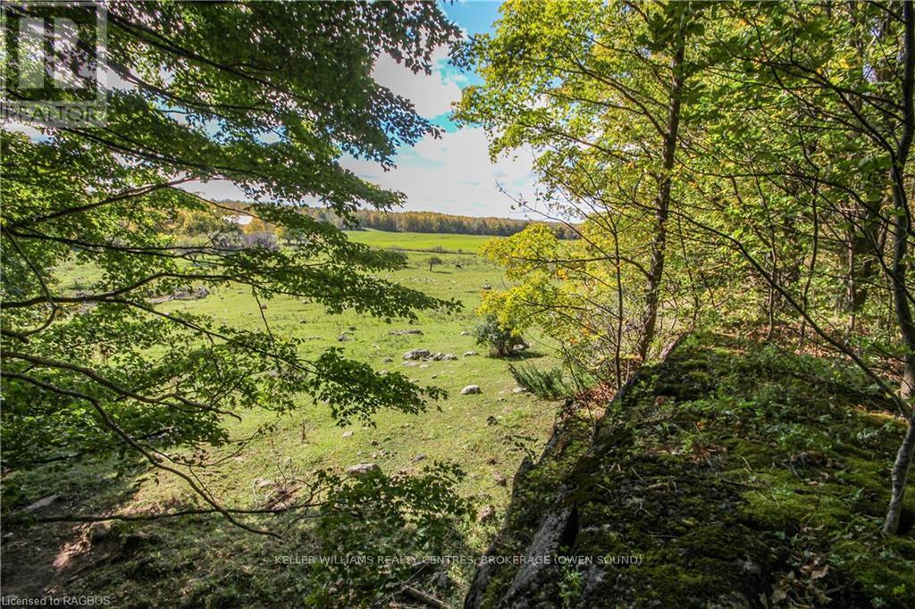 Lt 1-2 Cameron Road, Northern Bruce Peninsula, Ontario  N0H 2T0 - Photo 19 - X10846811